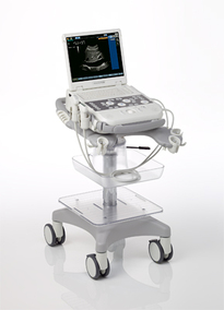 Siemens Acuson P300 Compact Ultrasound
