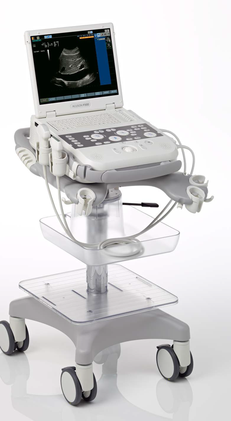 Siemens Acuson P300