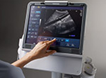 Toshiba Viamo Ergonomics